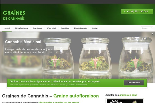 Verendus theme site design template sample