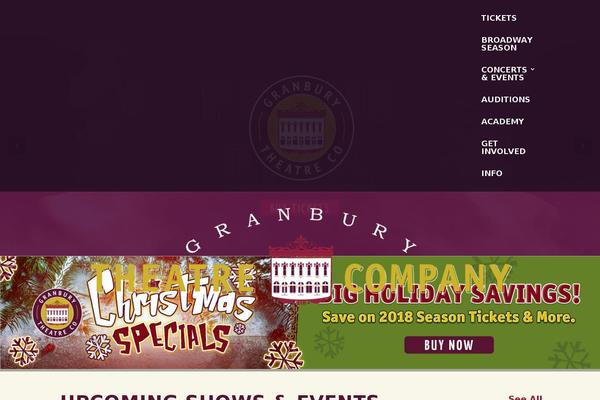 Divi Child theme site design template sample