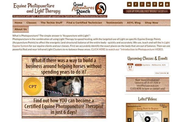 Essence-pro theme site design template sample