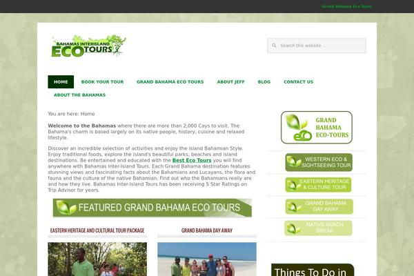 Metro Pro theme site design template sample