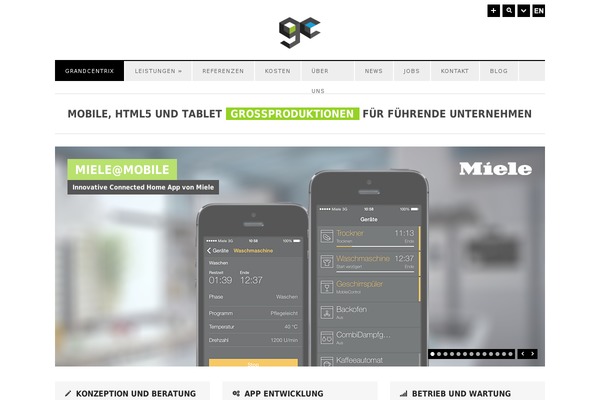 Surplus theme site design template sample