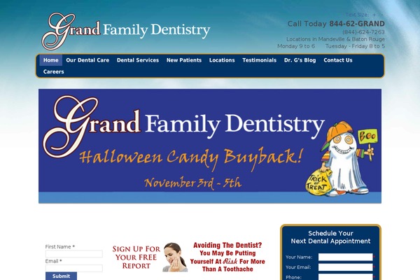 NANCY theme site design template sample