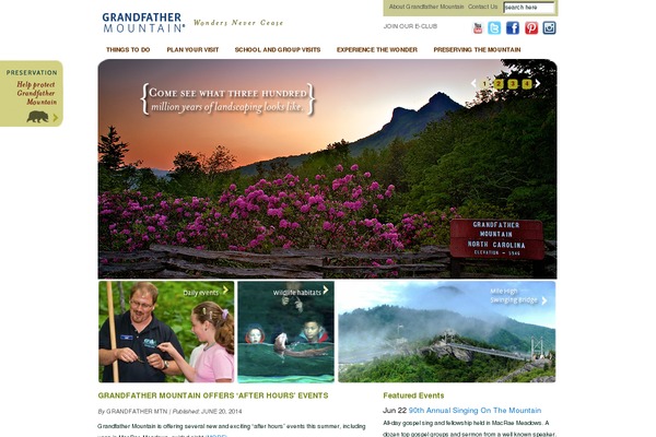 Divi theme site design template sample