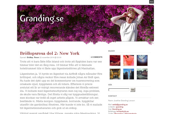 Site using Simple Testimonials plugin