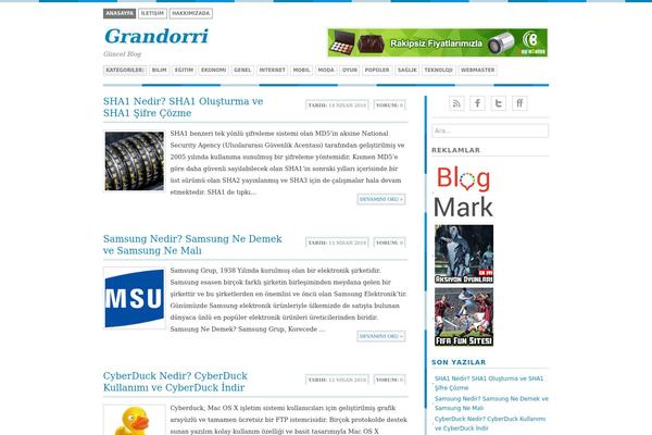 Bisade theme site design template sample