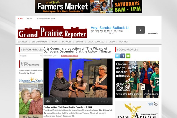 Newspulse theme site design template sample