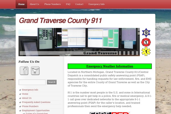 SmartOne theme site design template sample