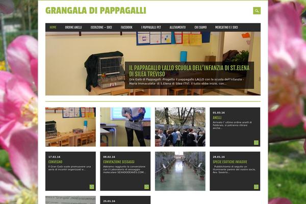 Magazino theme site design template sample
