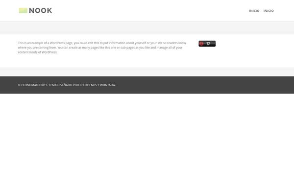 nook theme websites examples