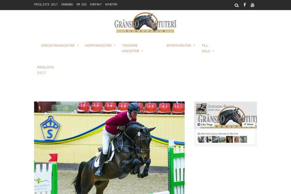 Magazine theme site design template sample