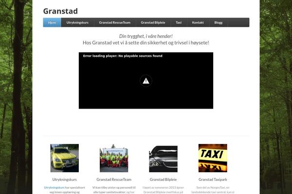 Function theme site design template sample
