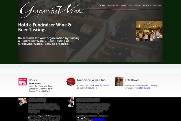 Exiria theme site design template sample
