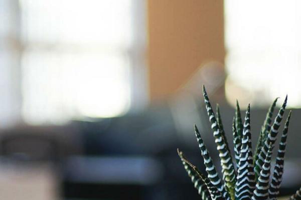 Site using Fast Secure Contact Form plugin