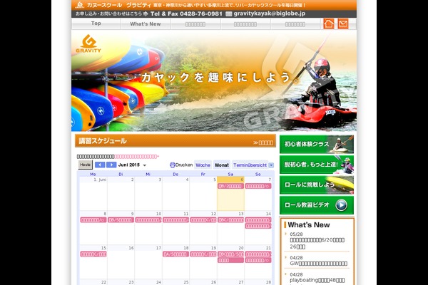 gravity2013 theme websites examples