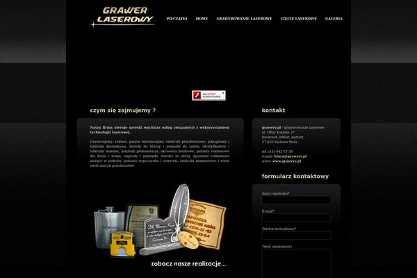 Rychlakdesign theme site design template sample