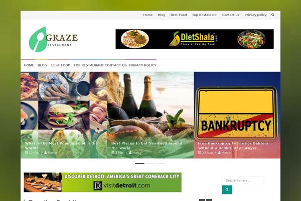Nisarg theme site design template sample