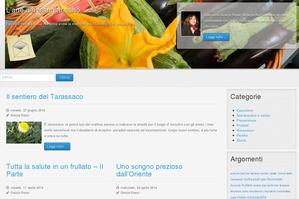 Rt_gantry_wp theme site design template sample