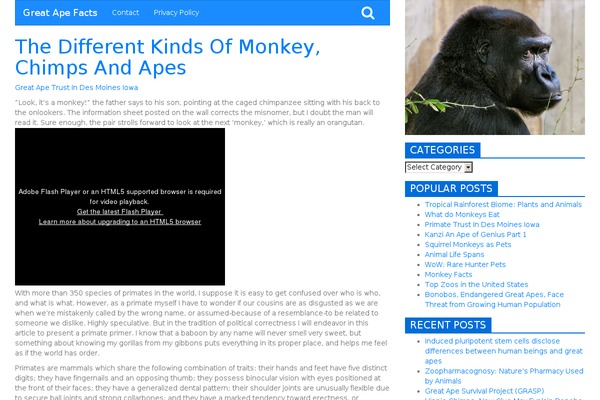 exora theme websites examples