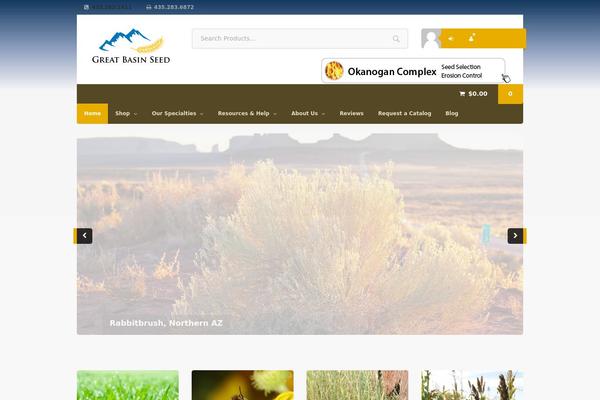 Superstore theme site design template sample