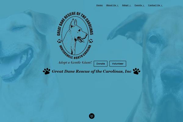 Site using Divi-footer-editor plugin
