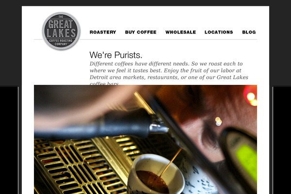 greatlakes theme websites examples