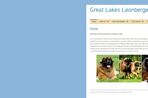 MiniBuzz 3 theme site design template sample