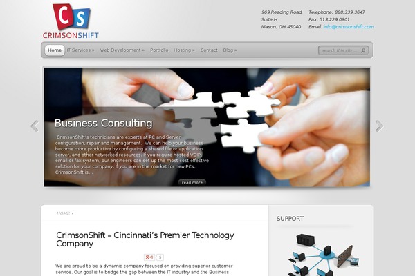 TheProfessional theme site design template sample