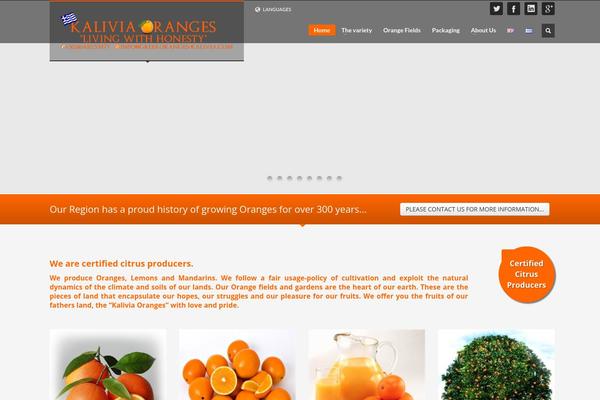 Kallchild theme site design template sample