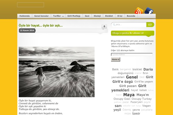 Site using Async-google-analytics plugin