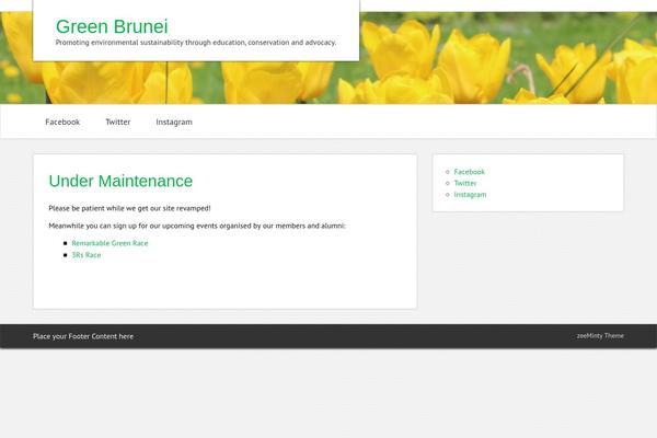 zeeMinty theme site design template sample