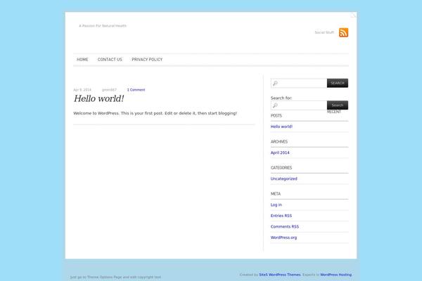 Simplo theme site design template sample