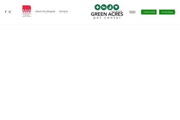 Site using Lifelearn-accessibility plugin