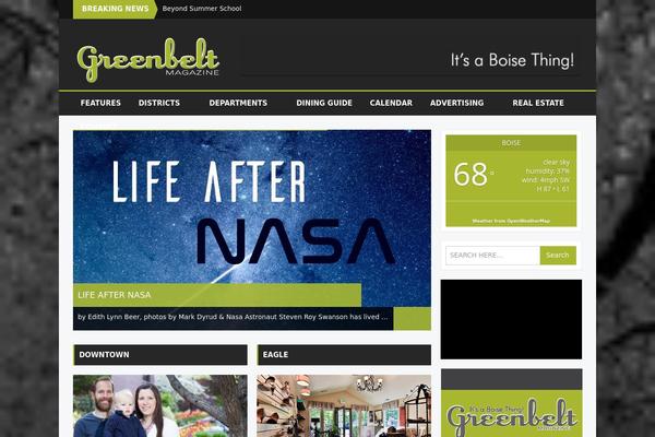 Bzine theme site design template sample