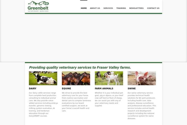 Nyx theme site design template sample