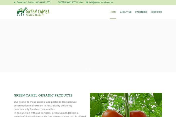 Focuson theme site design template sample
