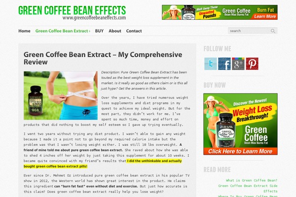 Fast Blog theme site design template sample