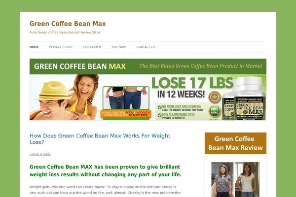 Twenty Twelve theme site design template sample