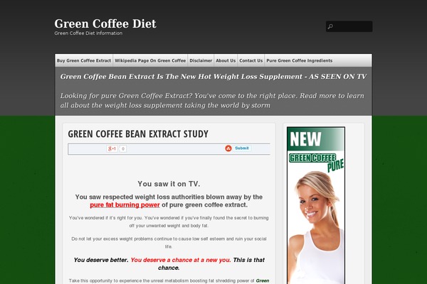 multi-color theme site design template sample