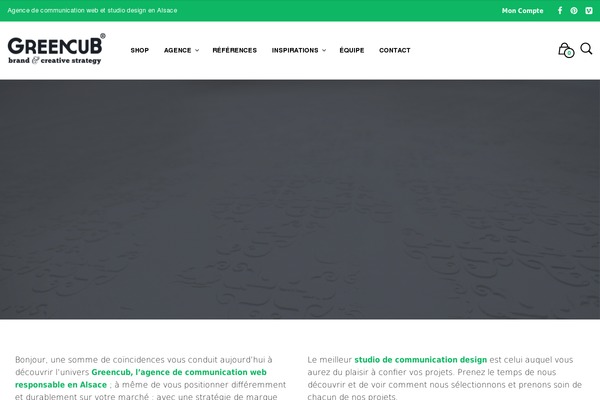 Mr. Tailor theme site design template sample