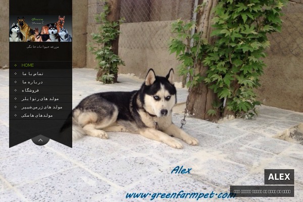 SKT Full Width theme site design template sample