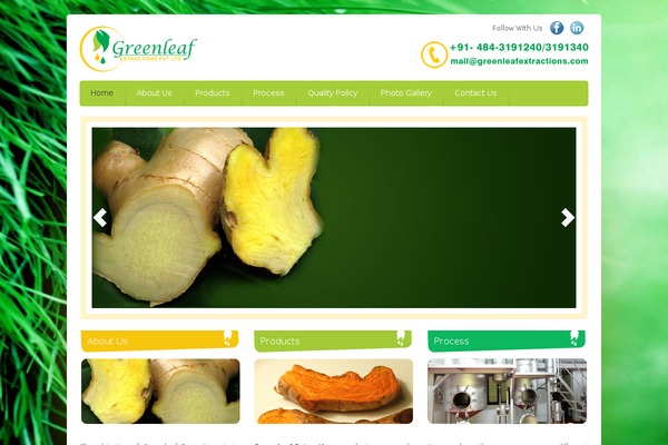 Associate theme site design template sample