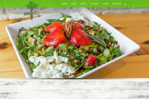 Capella theme site design template sample