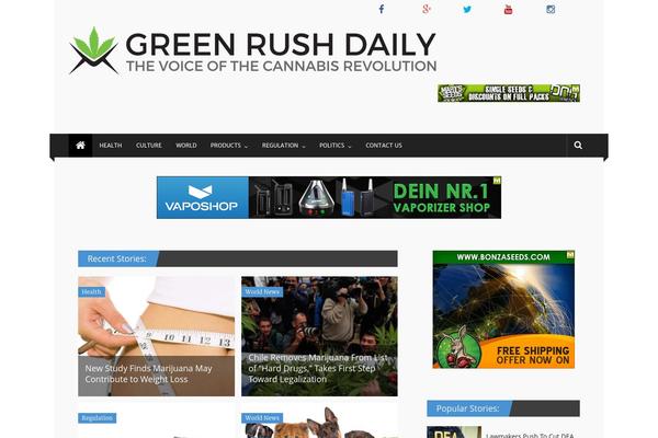 Click-mag theme site design template sample