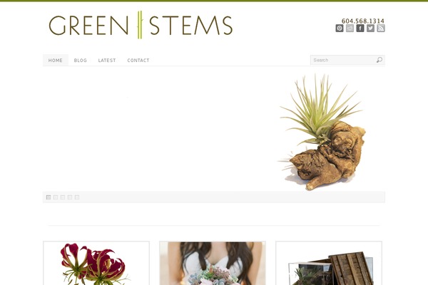 PlatformPro theme site design template sample
