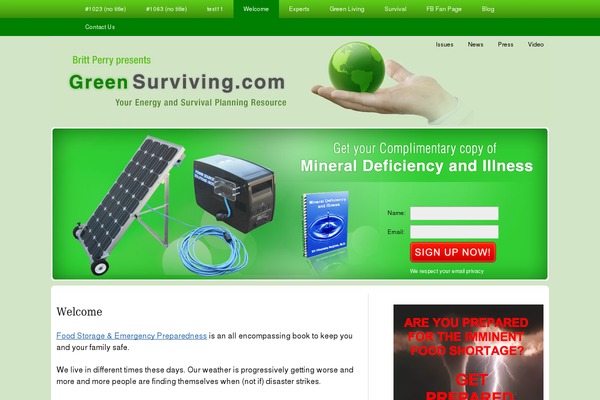 Thesis_182 theme site design template sample
