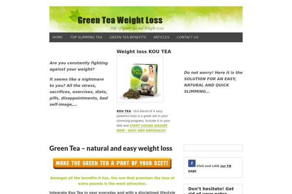 Gridiculous theme site design template sample