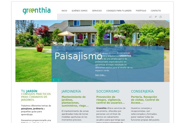 Novus theme site design template sample