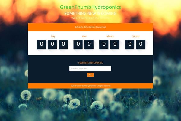 Storefront theme site design template sample