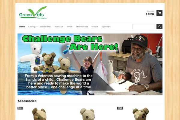 Catch Everest theme site design template sample