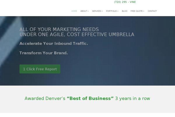 Site using Divi-mega-pro plugin
